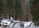 20250121_145827.jpg