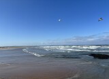 IMG_9814.JPEG
