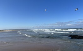 so5bamo59h_____1 IMG_9861 úvodni foto 