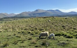 so5bamo59h_____1 IMG_9861 úvodni foto 