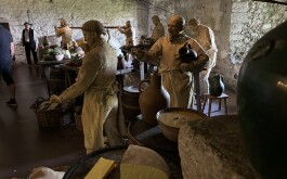 so5bamo59h_____1 IMG_9861 úvodni foto 