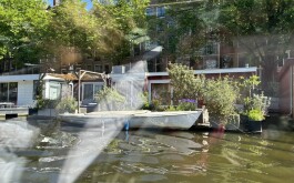 so5bamo59h_____1 IMG_9861 úvodni foto 