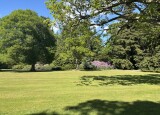 IMG_9786.JPEG