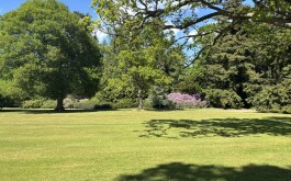 so5bamo59h_____1 IMG_9861 úvodni foto 