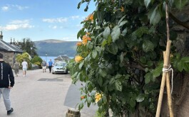 so5bamo59h_____1 IMG_9861 úvodni foto 