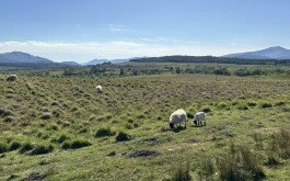 so5bamo59h_____1 IMG_9861 úvodni foto 