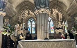 so5bamo59h_____1 IMG_9861 úvodni foto 