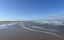 so5bamo59h_____1 IMG_9861 úvodni foto 