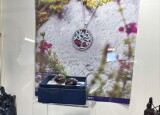 IMG_9524.JPEG