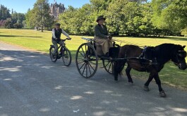 so5bamo59h_____1 IMG_9861 úvodni foto 