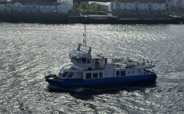 so5bamo59h_____1 IMG_9861 úvodni foto 