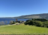 IMG_9551.JPEG
