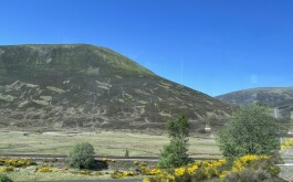 so5bamo59h_____1 IMG_9861 úvodni foto 