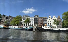 so5bamo59h_____1 IMG_9861 úvodni foto 