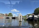 IMG_9354.JPEG