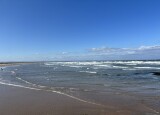 IMG_9823.JPEG