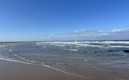 so5bamo59h_____1 IMG_9861 úvodni foto 