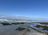 IMG_9813.JPEG