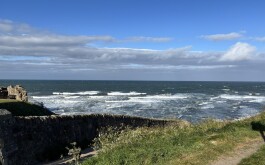 so5bamo59h_____1 IMG_9861 úvodni foto 