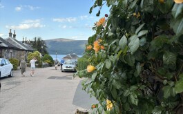 so5bamo59h_____1 IMG_9861 úvodni foto 