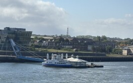 so5bamo59h_____1 IMG_9861 úvodni foto 