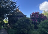 IMG_9799.JPEG