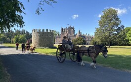 so5bamo59h_____1 IMG_9861 úvodni foto 