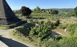 so5bamo59h_____1 IMG_9861 úvodni foto 