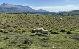 so5bamo59h_____1 IMG_9861 úvodni foto 