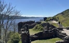 so5bamo59h_____1 IMG_9861 úvodni foto 