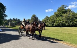 so5bamo59h_____1 IMG_9861 úvodni foto 