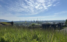 so5bamo59h_____1 IMG_9861 úvodni foto 