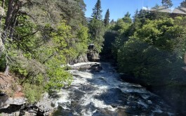 so5bamo59h_____1 IMG_9861 úvodni foto 