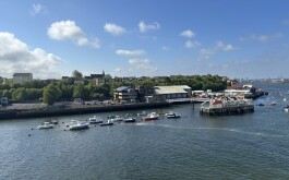 so5bamo59h_____1 IMG_9861 úvodni foto 