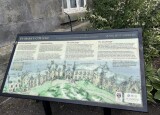 IMG_9867.JPEG
