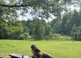 IMG_0238.JPEG