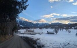 09zkhh5tyh_____PXL_20260128_123114012