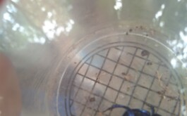hao0xmf5ih_____20260616_105653