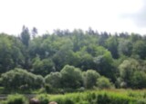 IMG-20260617-WA0047.jpg