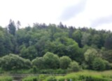 IMG-20260617-WA0043.jpg