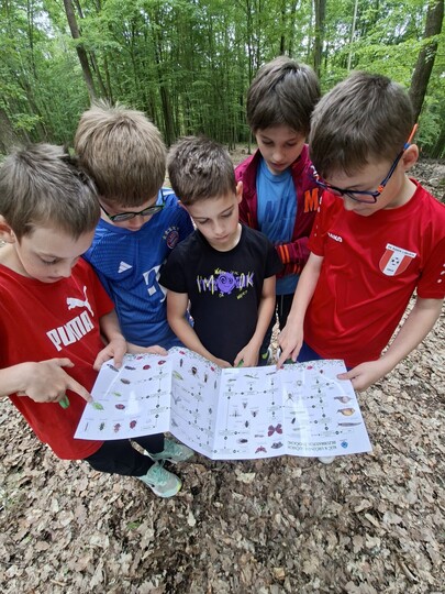 Škola v přírodě 2026