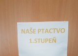 tydenZ19.jpg