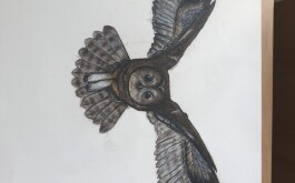 ixqw8olhrv_____ornit004