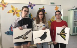 ixqw8olhrv_____ornit004