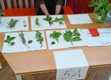 IMG20240424090923.jpg