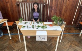 h0g1hswlbi_____IMG20240424090211