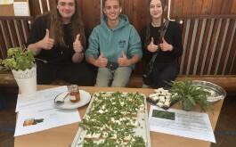 h0g1hswlbi_____IMG20240424090211