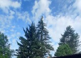 20240619_092247.jpg