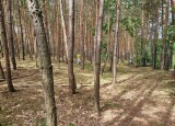 20240617_104621.jpg