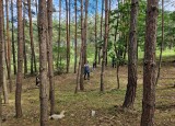 20240617_104525.jpg